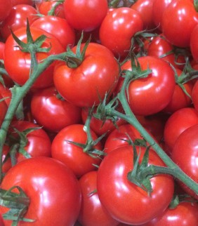 Tomate Grappe Rabelais